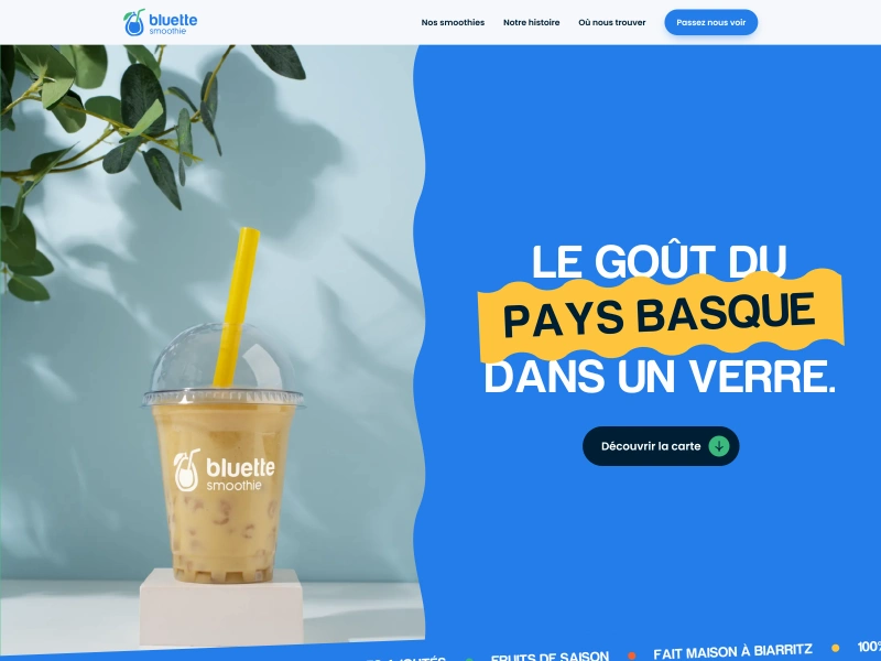 Réalisation : Bluette Smoothie, identité visuelle et site